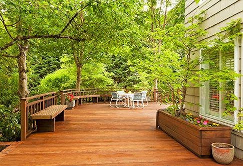 deck maintenance